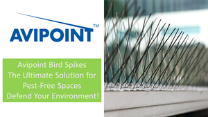 Attention all professional pest controllers and building managers! Are you gearing up for the upcoming bird nesting season? Don't miss out on our exclusive deals for Avipoint 50m bird spikes!