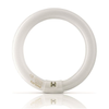 Philips UV 22W Circline Fluorescent Tube - TPX22S