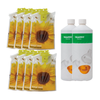 Trappit Wasp & Hornet Kit - 8 Bags & 2L Lure
